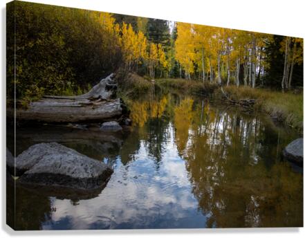 Fall Reflections Canvas Print