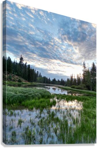 sunrise summer  Canvas Print