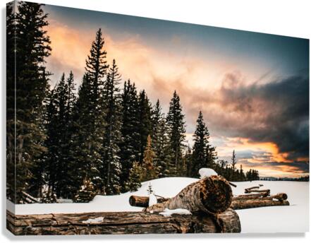 backyard fence Canvas Print