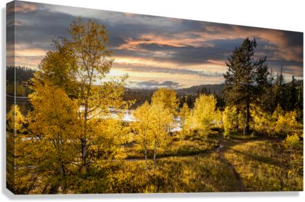 bright fall Canvas Print