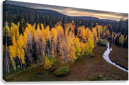 fall sunset Canvas Print