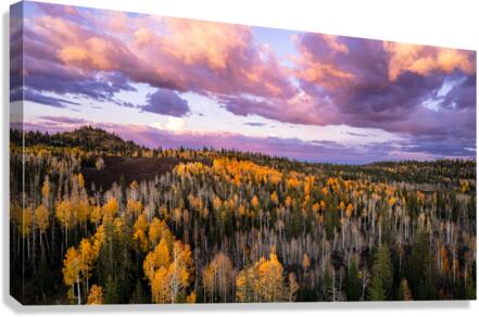 fall storms Canvas Print