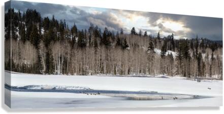 springthawdcpond Canvas Print