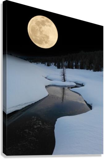 DAY MOON Canvas Print