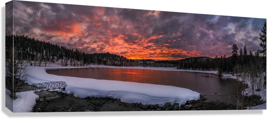 something in the orange Canvas Print