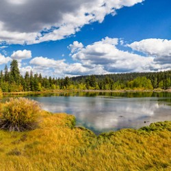 fall colors of duck creek pond