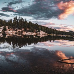 the hidden pond