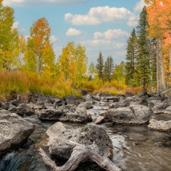 duck creek Utah fall 2025