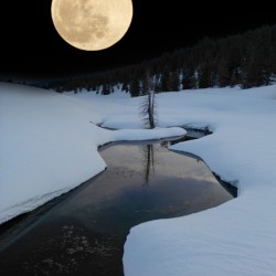 DAY MOON