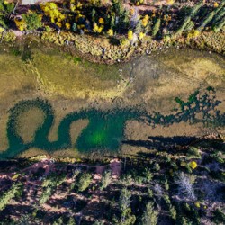 snake at the bottom of aspen mirror