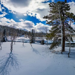 Aspen 
