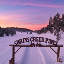 Swains Creek Pines Sunrise