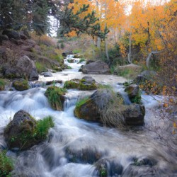 Water Fall
