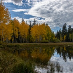 Aspen mirror lake 