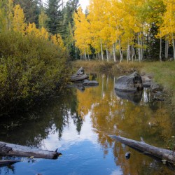 Duck Creek fall reflections 