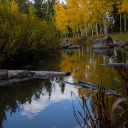 fall along the creek