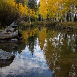 Fall Reflections