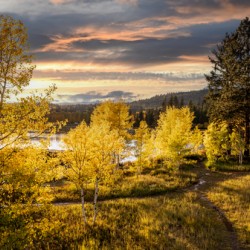 bright fall