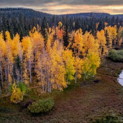 fall sunset