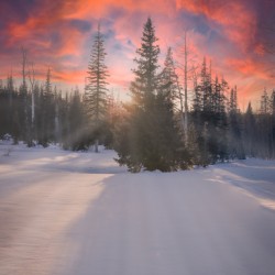 rays of heaven