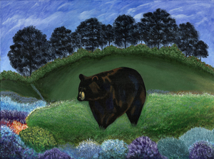 Black Bear