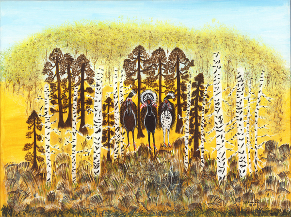 Dakota Warriors by Susan Rook Lundell