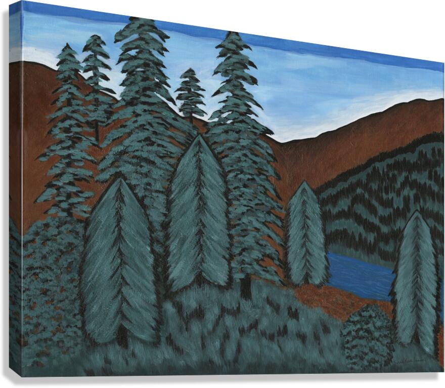 Dark Woods Canvas Print