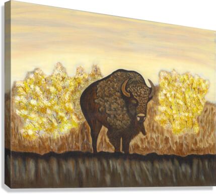Noble Bison Canvas Print