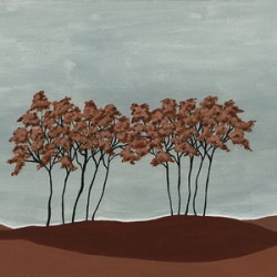 Graceful Oasis