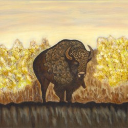 Noble Bison