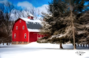 Winter wonderland 
