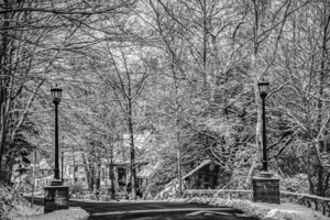 Forest Home - Hamlet near Cornell University