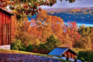 Fall on Cayuga Lake