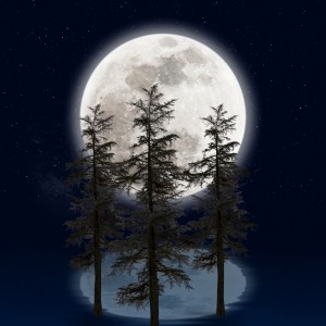 Moonscape