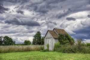 Sheds