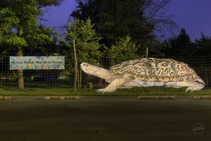 Turtle Holograph at Children  Garden