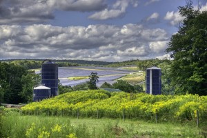 Solar Farm