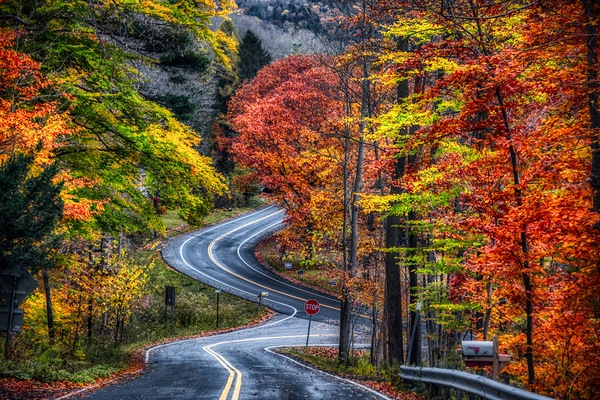 Besemer in fall by Joseph Scaglione III