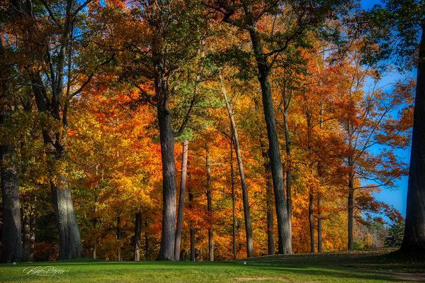 Fall on the golf course - Robert Trent Jones Ithaca NY by Joseph Scaglione III