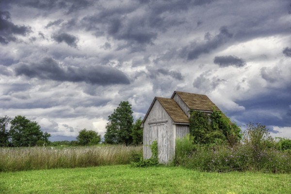 Sheds Print