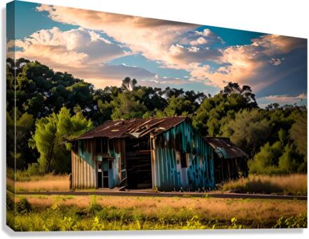 The Shedding Shed  Canvas Print