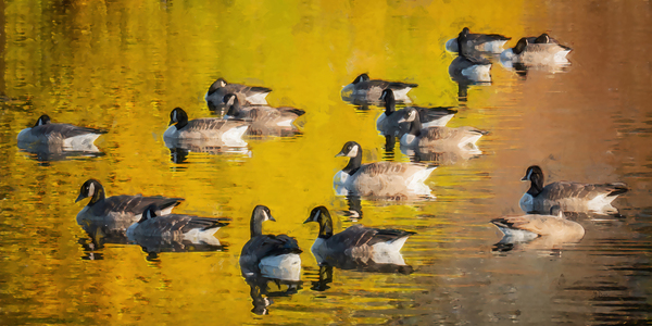 REFLECTIONS Print