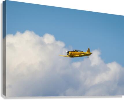 THE HARVARD  Canvas Print