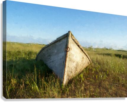 THE DORY Canvas Print