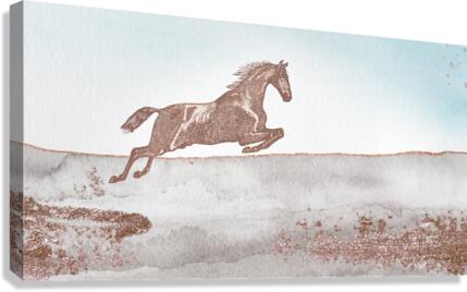 into the unknown Canvas Print