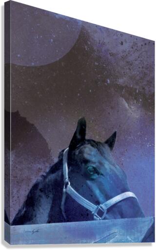 underthemoonlight Canvas Print