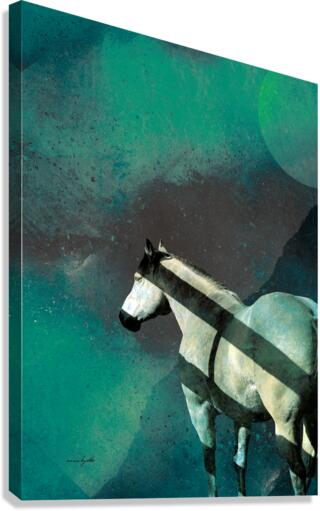 Shadows Canvas Print