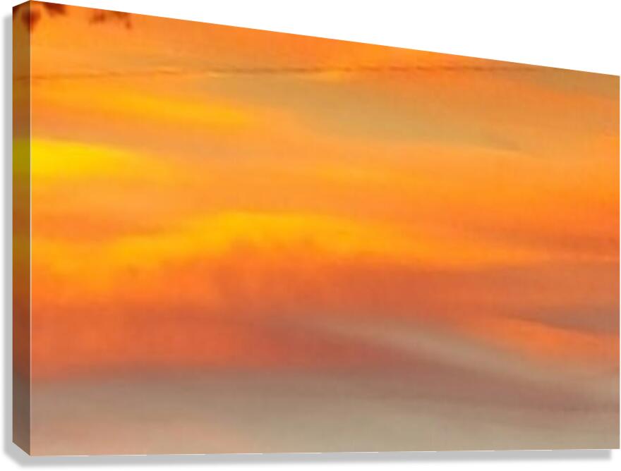 orange sky Canvas Print