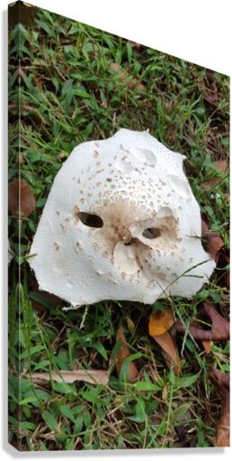 Mask Canvas Print