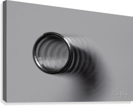SteelSpring 3 Canvas Print